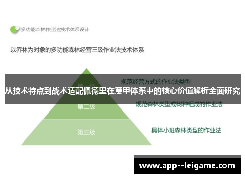 从技术特点到战术适配佩德里在意甲体系中的核心价值解析全面研究