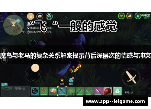 魔鸟与老马的复杂关系解密揭示背后深层次的情感与冲突